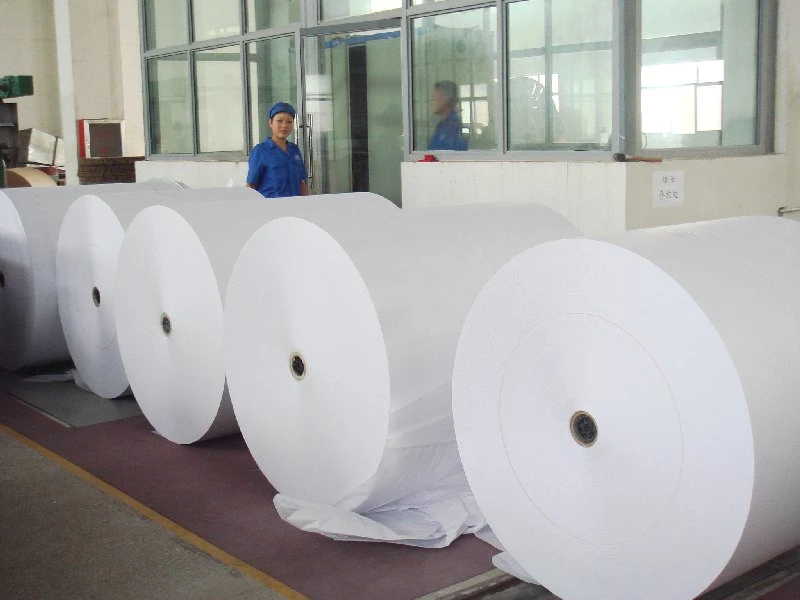 Big Size Thermal Paper Normal and Long Image Life Thermal Paper Rolls Plain White OEM Good Color