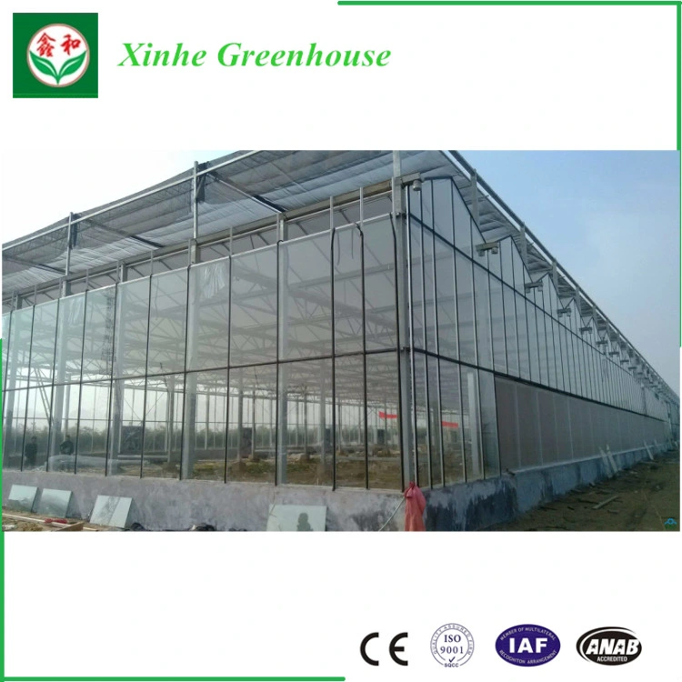 Automatic Control System Glass Green House for Agriculture