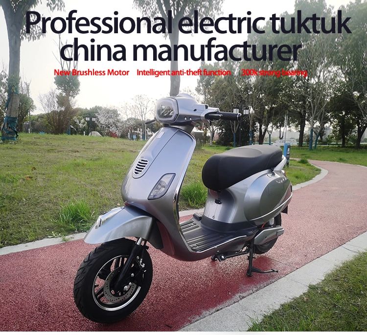 1000W EEC Coc Big Wheel Cheap Electric Motorcycle Scooter Bike Bicycle China Companies