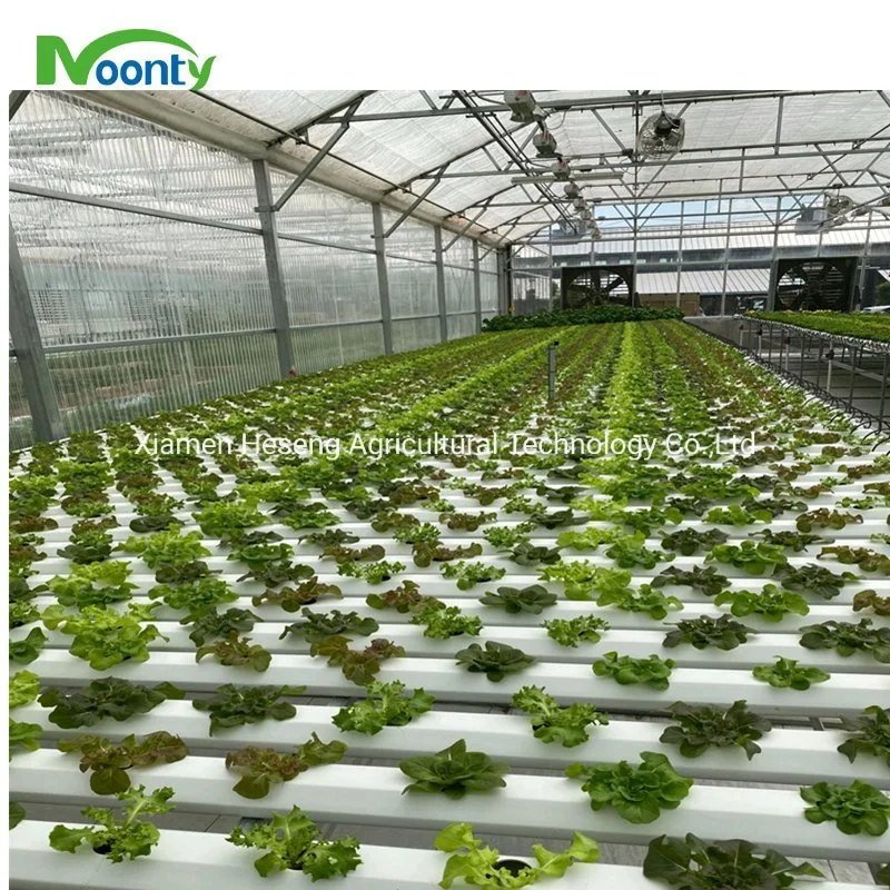 Commercial Hot Sale Hydroponic Channel System in Greenhouse and Farm Nft Hydroponics System with Hydroponics Equipment for Lettuce/Celery/Greens Cultivation