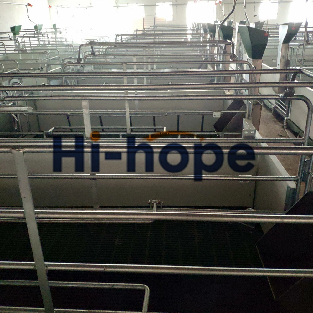 Piggery Cage Hog Farm Equipment Hot-DIP Galvanized Sow Farrowing Pen