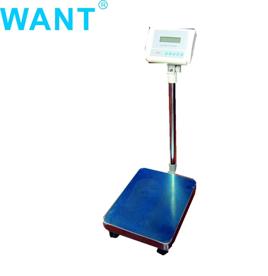 100g Accuracy and AC/DC Power Supply Platform Weighing Scale