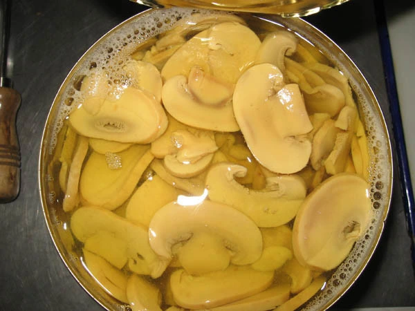 Canned Champignon Mushroom Pieces in Brine in Tins