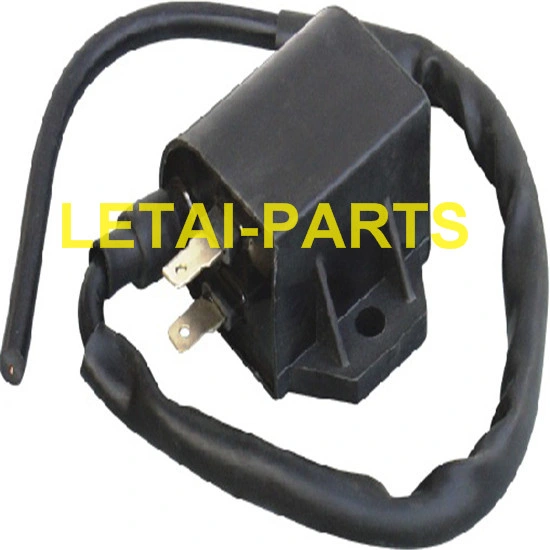 CH-D001 Piaggio Kymco Aprilia Mbk Benelli Oil Gas Motorcycle Ignition Coil