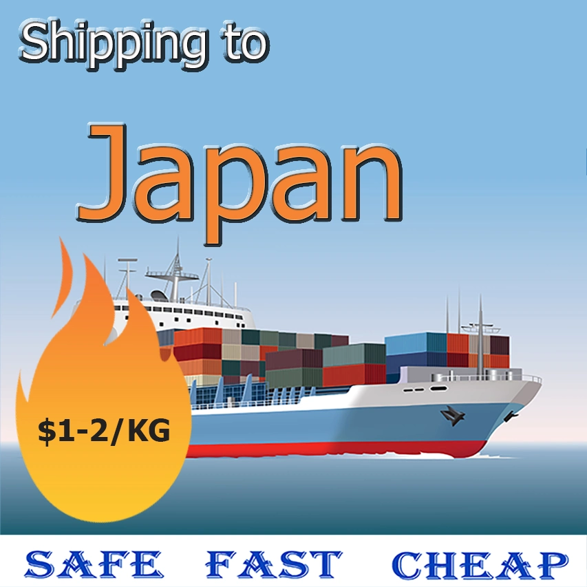 Fba Shipping From China to Japan by Sea Transport Service