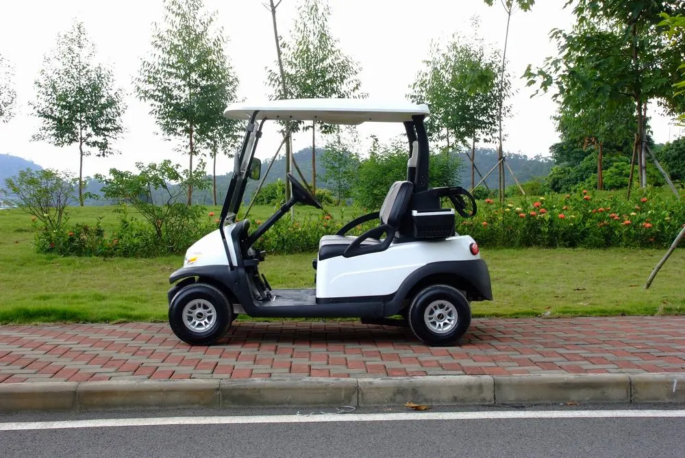 Elektrischer Golfwagen für 2 Personen (4 Räder)