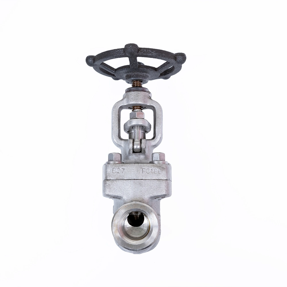 DN40 Series 800 Carbon Steel Forged High Pressure Gate Valve 3 Inch Gate Valve China A105 Socket Weld End Gate Valve