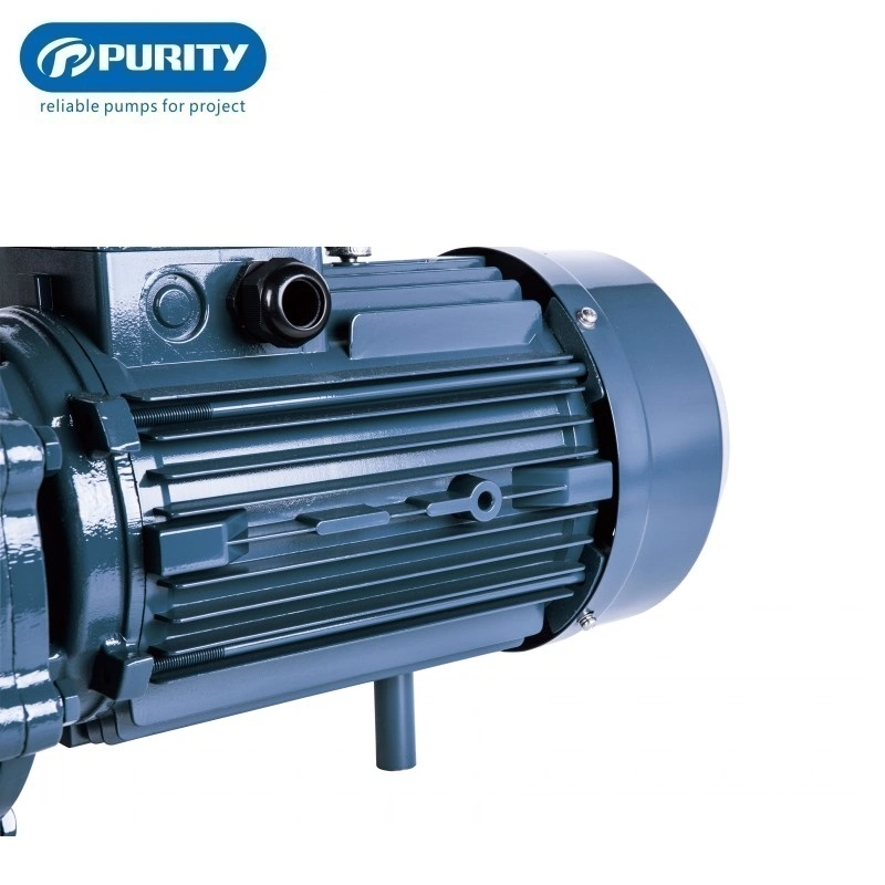 Advanced Technology Practical and Durable High Pressure Single-Stage Pump