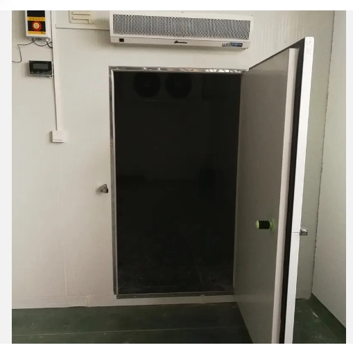 Insulated Freezer Cold Room Good Quality Cooler