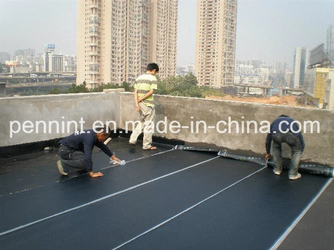 Sbs/APP Bitumen Waterproof Membrane Torched-on Roof Sheet Basement Material