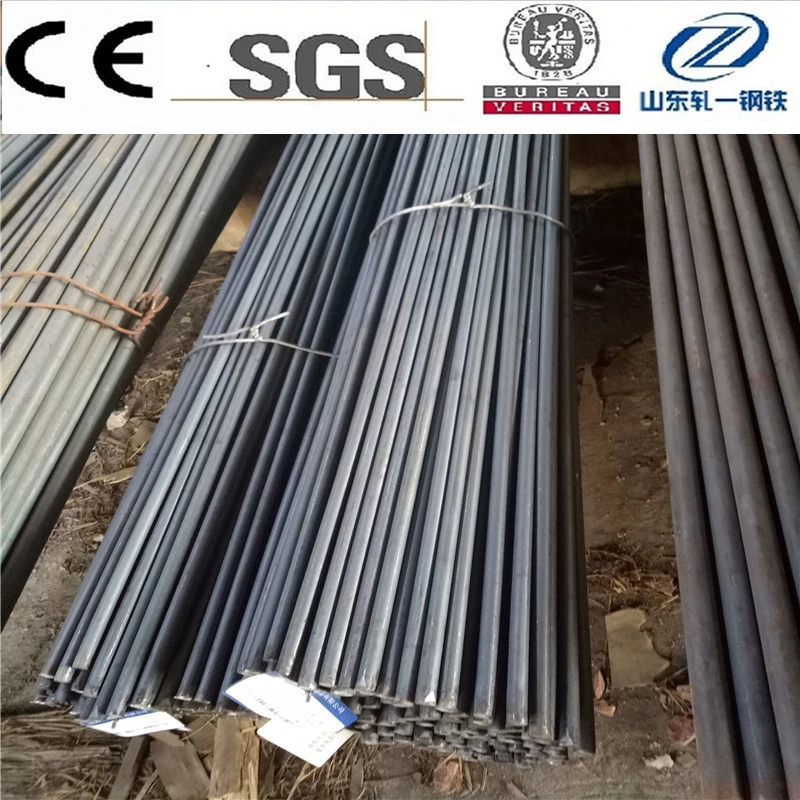 Steel Round Bar Suj2 100cr6 52100 En31 Factory Price