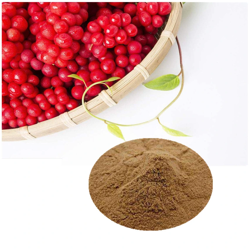 Superior Quality Factory Supply Schisandra Berry Extract Powder