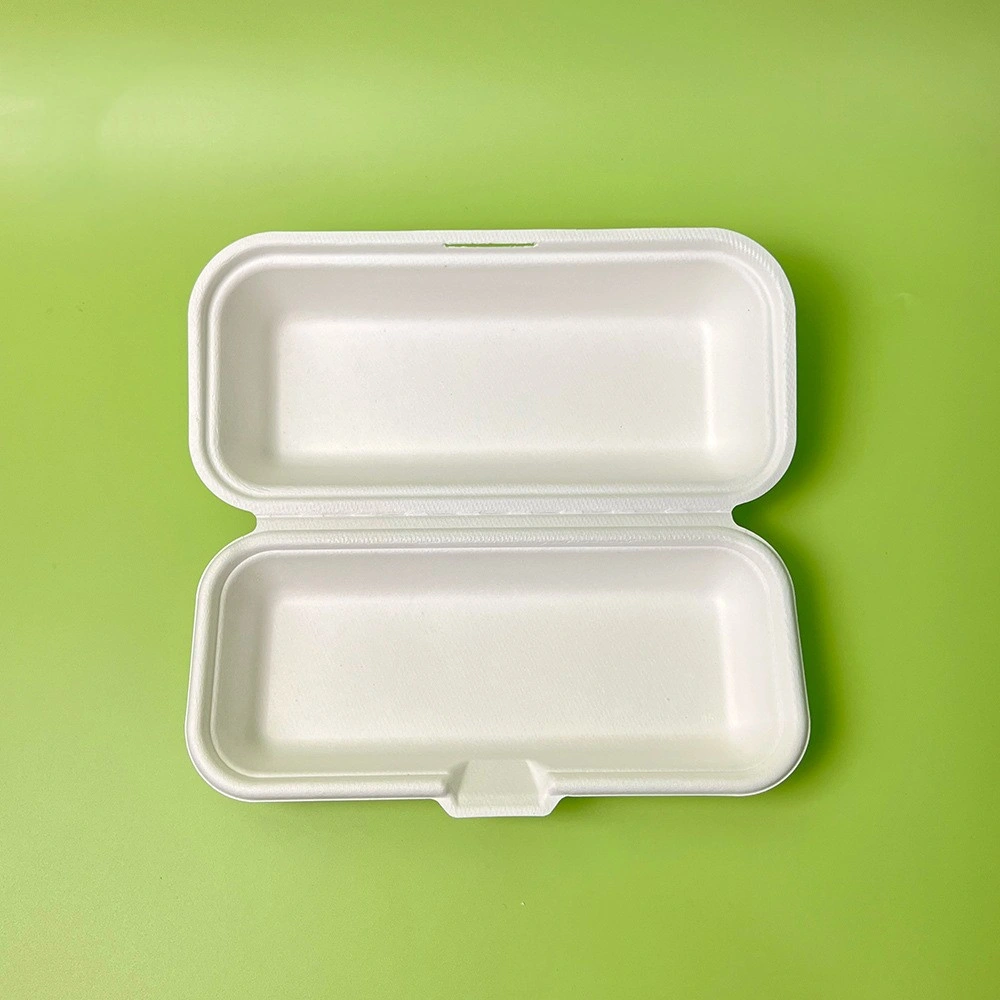 Environmental Degradation Food Packaging Containers for Hot Dog Burger Salad