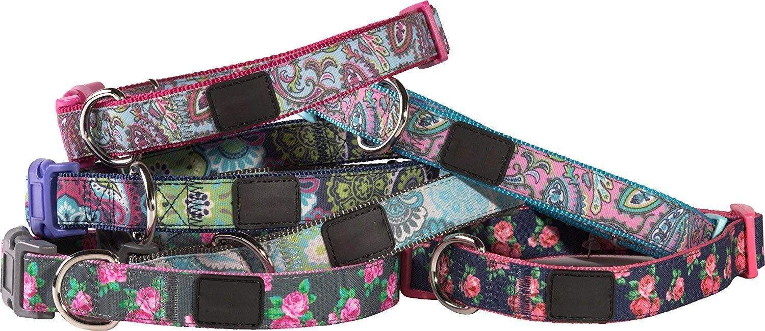 Adjustable Dog Clip Collar Medium, Neck 14-20" Adorable Puppy & Kitten Collar