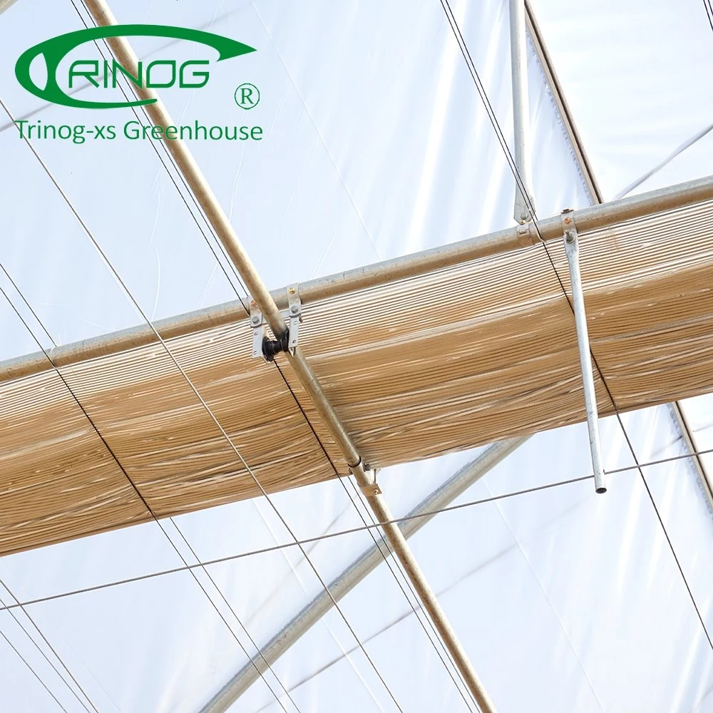 Trinog Greenhouse multi-span PO film greenhouse plastic product for farm