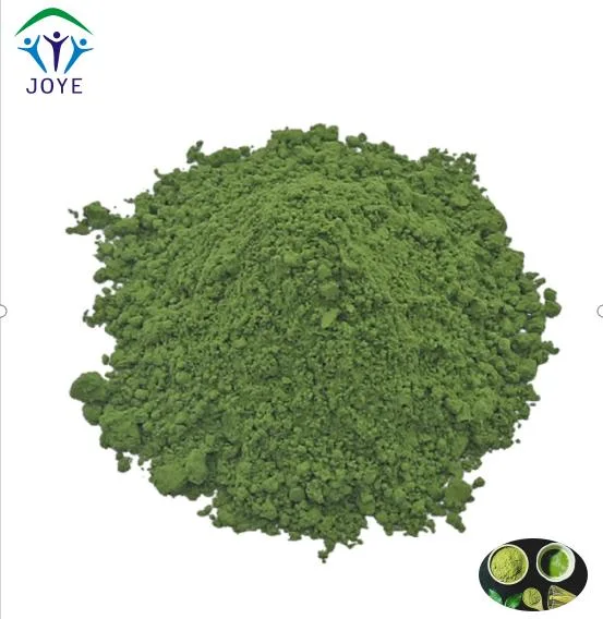 Free Sample Natural Pure EU Organic Matcha Green Tea Powder