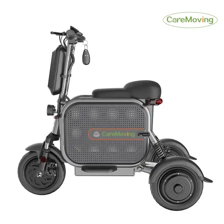 48V Adult 3 Wheel Electric Bicycle Mobility Scooter with Pet Basket and 500W/1000W Brushless Motors