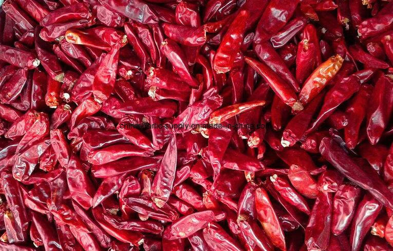 2019 Dry Red Chili Chili Powder Diced Chili