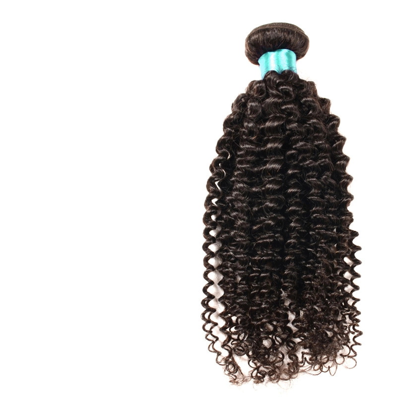 Hot 8un Malaisien Kinky Curly Virgin sèche 4 paquets de produits capillaires vierge malaisien cheveux afro Kinky Curly Tissage de cheveux humains