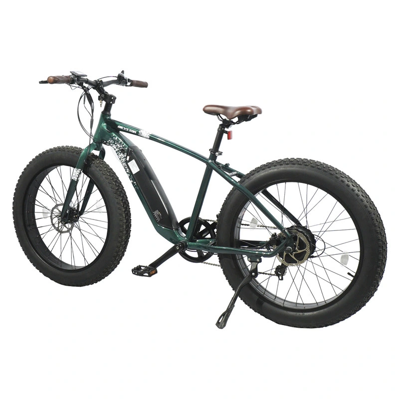 Fat Tire Electric Bike 29 Inch 1000W Us Warehouse