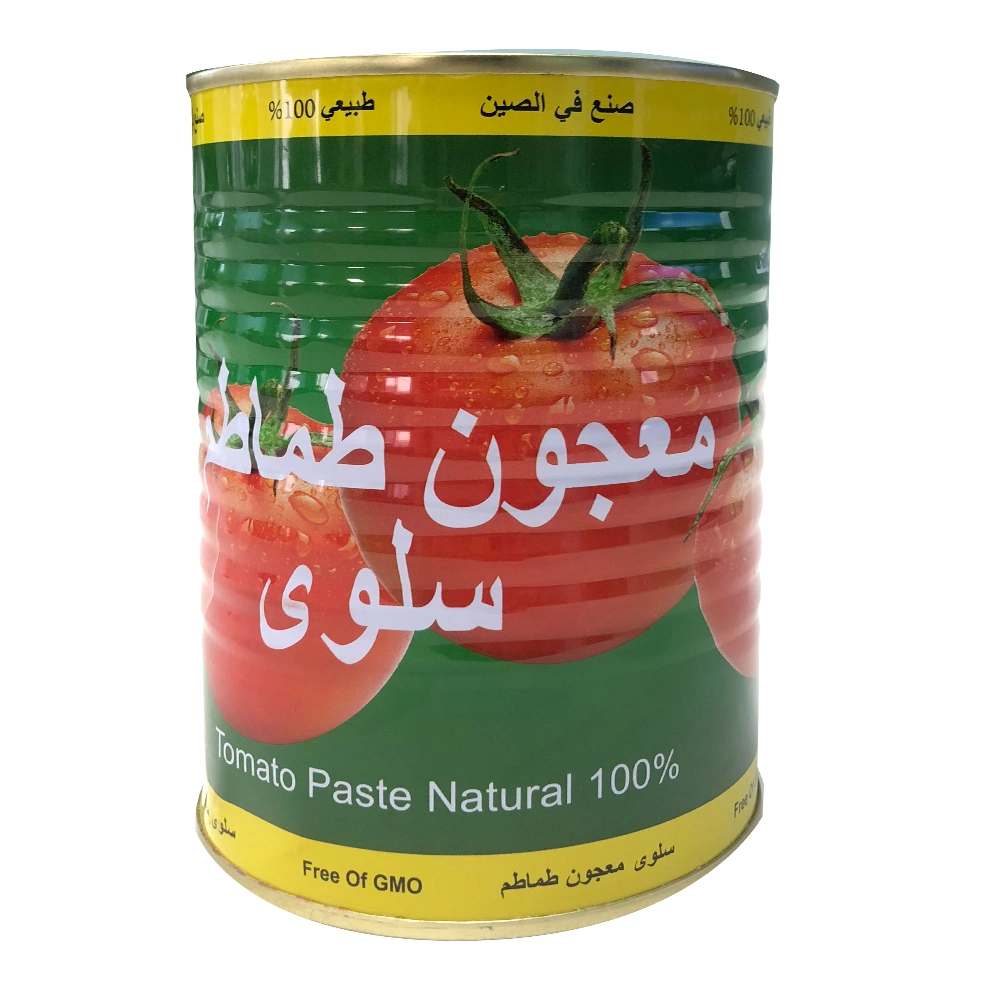 Premium-Qualität Tomatenpaste mit frischen roten Farbe, Double Concenter Tomatenpaste