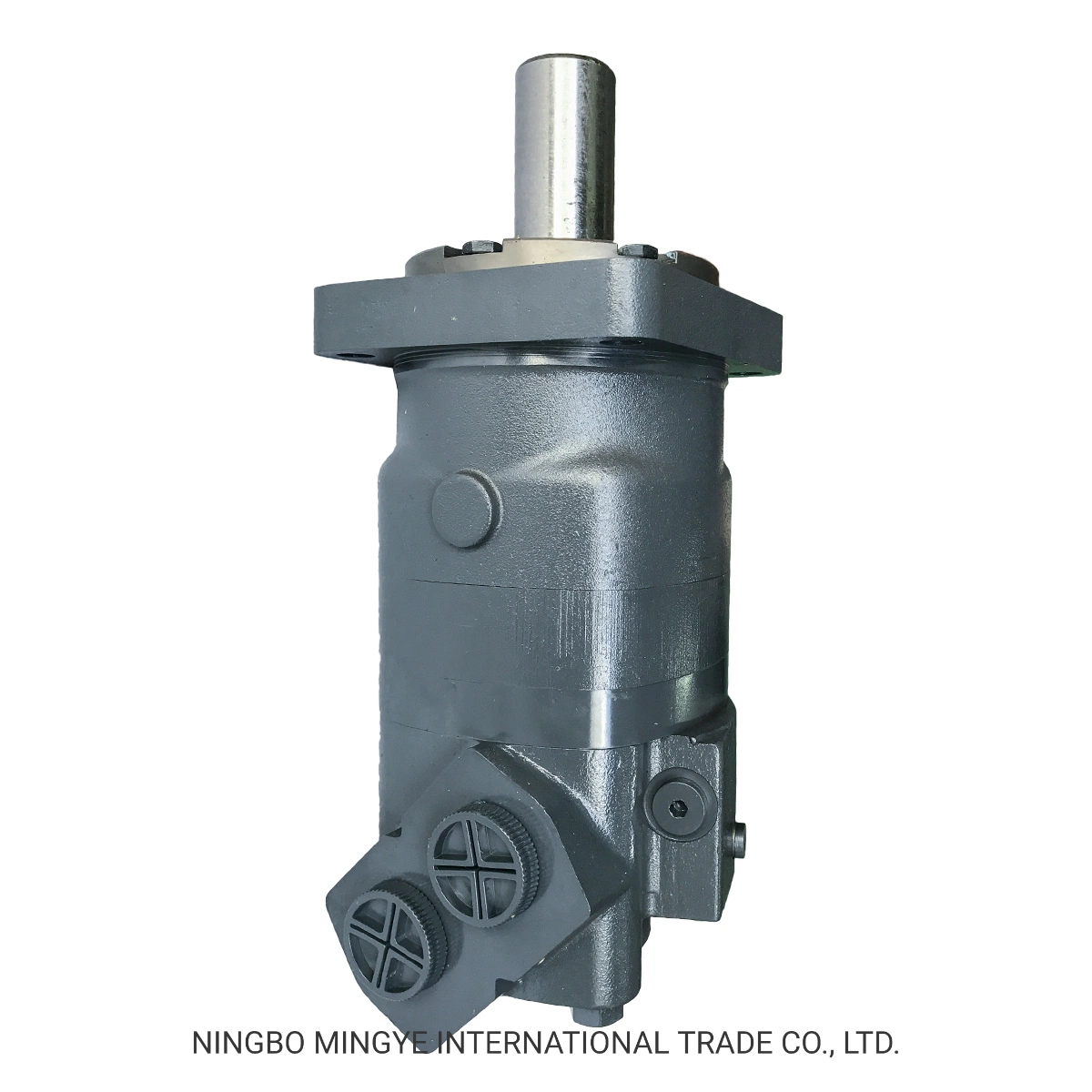 Bmv800 Omv800 Bmv/Omv 800cc 250rpm 30kw 3500 Pressure Washer Orbital Hydraulic Lift Motor for Water Well Drilling Rig