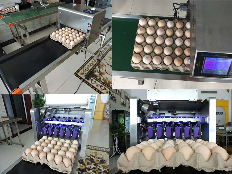 High quality/High cost performance  Egg Printing Machine / Egg Code Printing Machine