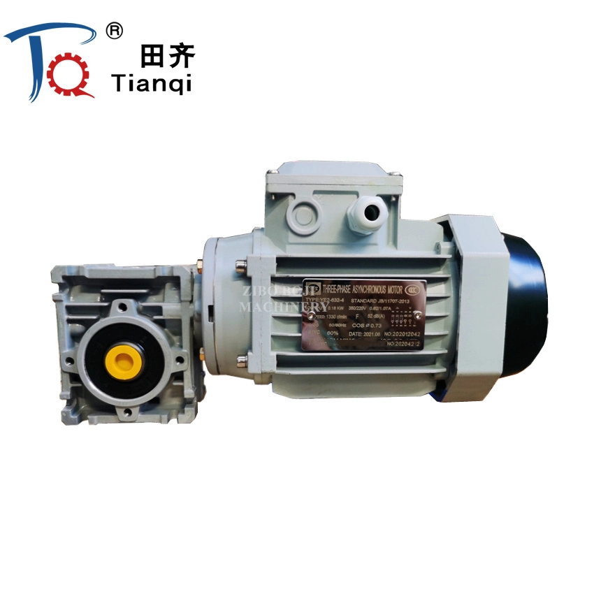 Servo 12V 24V 48V High Torque DC Worm Gear Motor