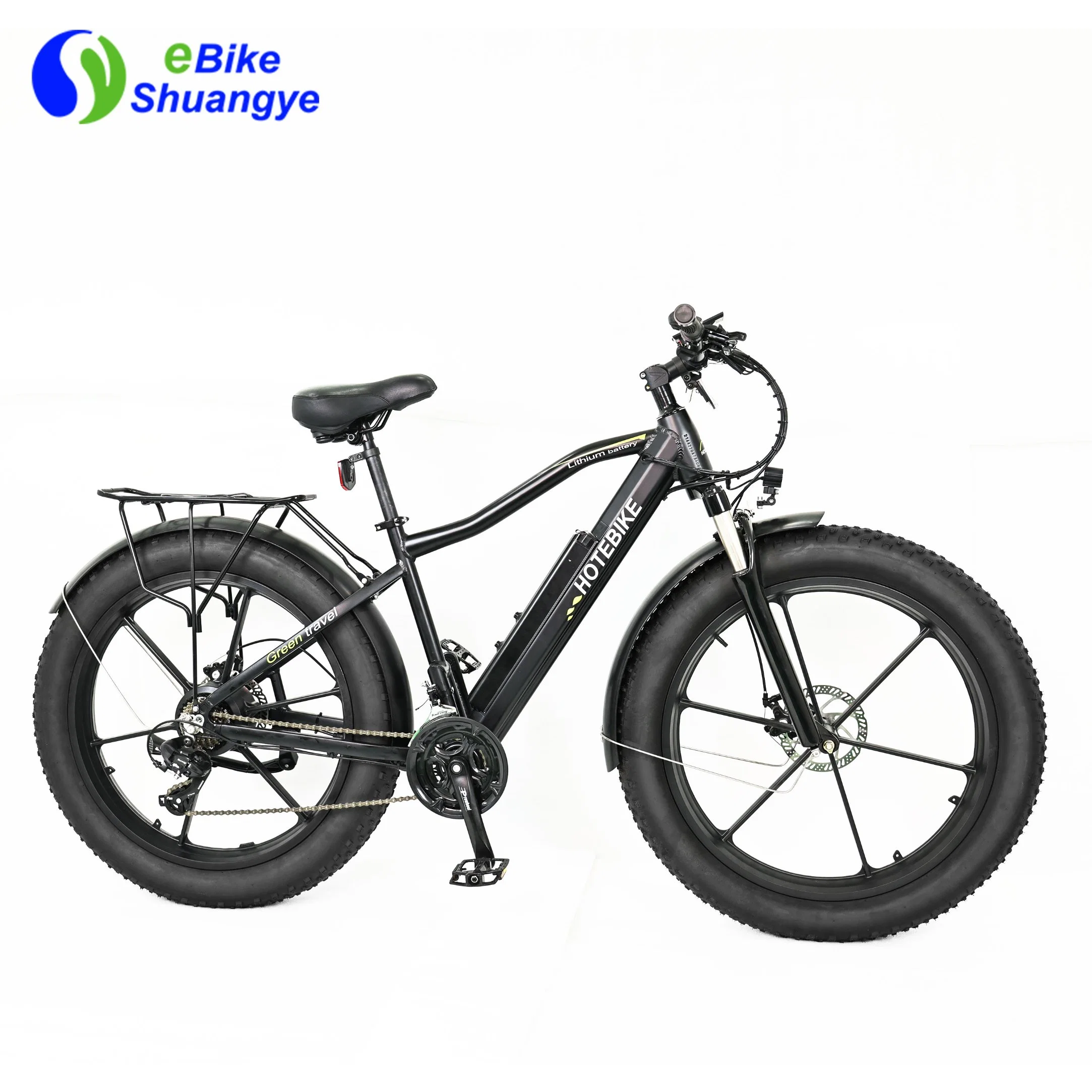 Brushless Shuangye or Hotebike We Use Thick Carton Motor Fat Bike with CE