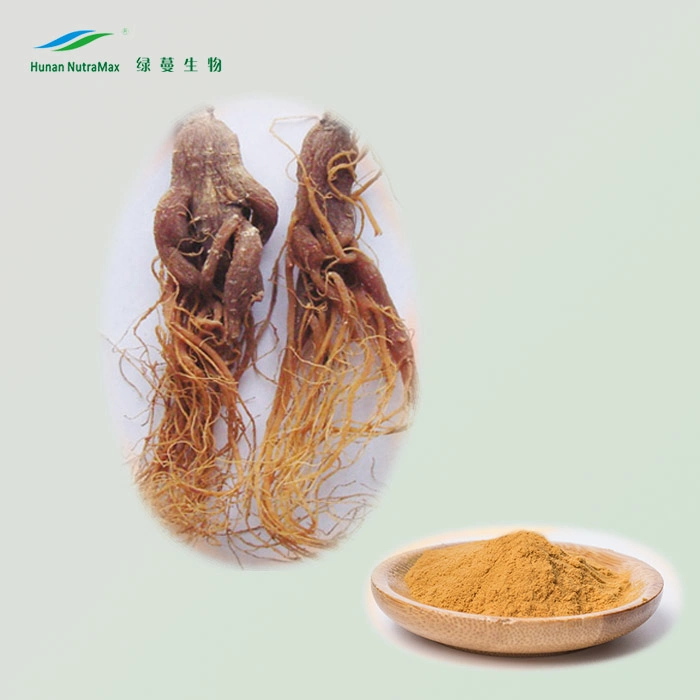 Extrato de Ginseng vermelho da Coreia pura com Ginsenosides 10%