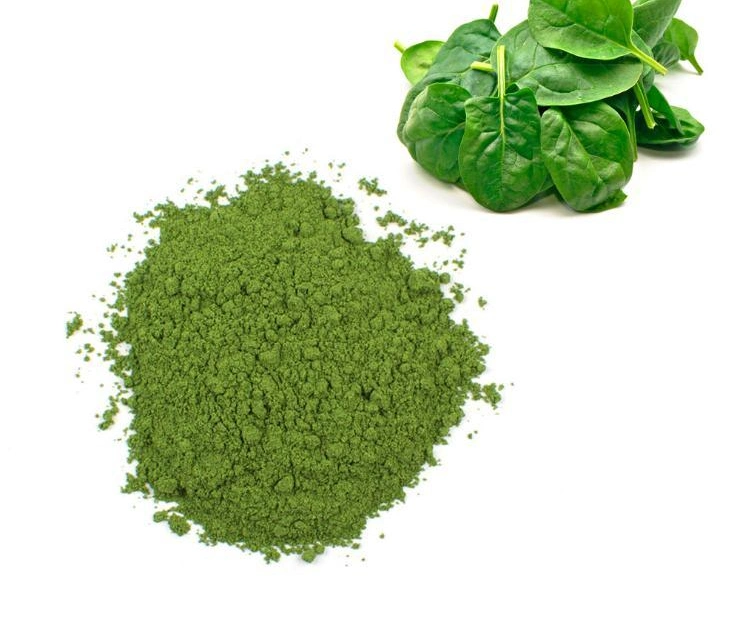 Organic 100% Nutual Vegetable Spinach Extract Juice Powder Spinach Powder
