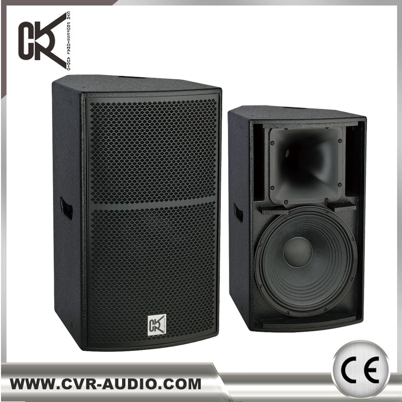 Cvr 300W Live Music Wireless Speaker