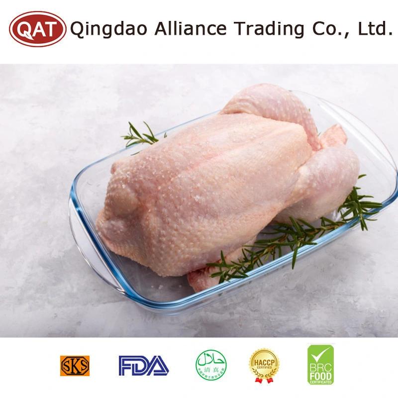 Wholesale/Supplier Halal Hand Slaughter Frozen Whole Chicken with Good Price