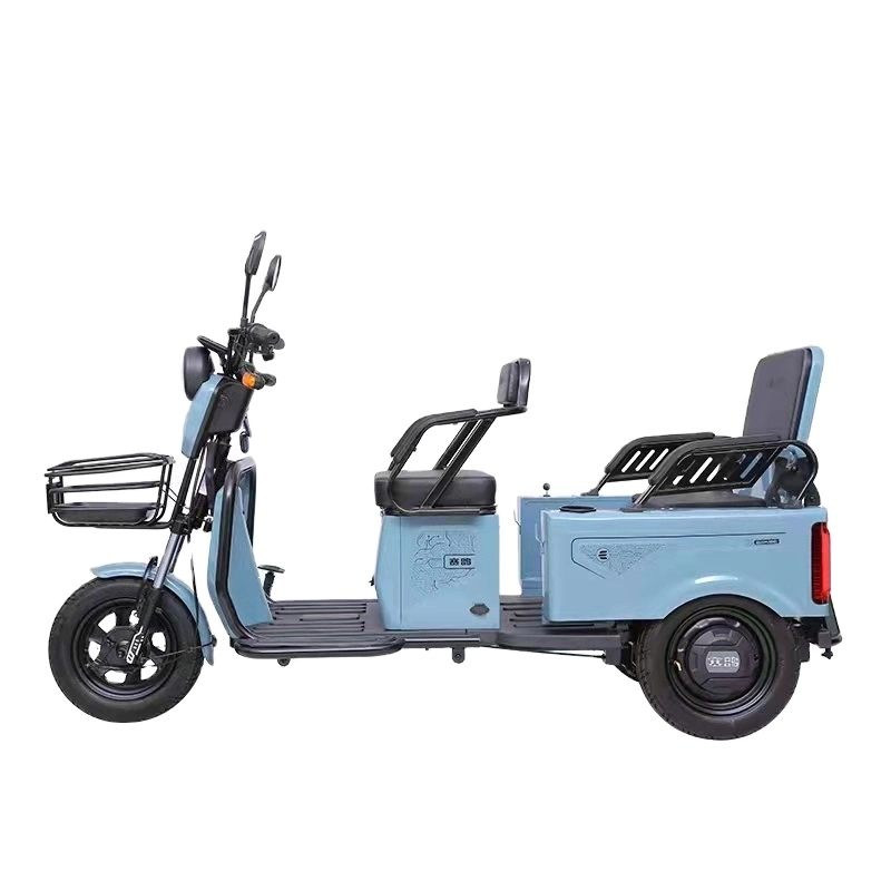 Electric Kick Scooter for Elderly EEC Coc Wheelchair 3 Wheels Electric Bikes