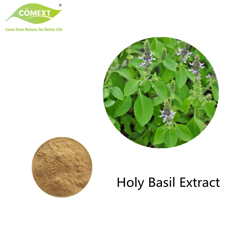 COMEXT Factory 100% Natural Basil Root Extract 4: 1; 10: 1; 20: 1 10% танины для применения в медицине