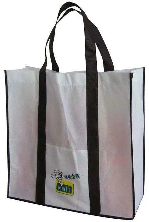 Non-Woven Gift Shopping Bags for Fashion Use (FLN-9116)