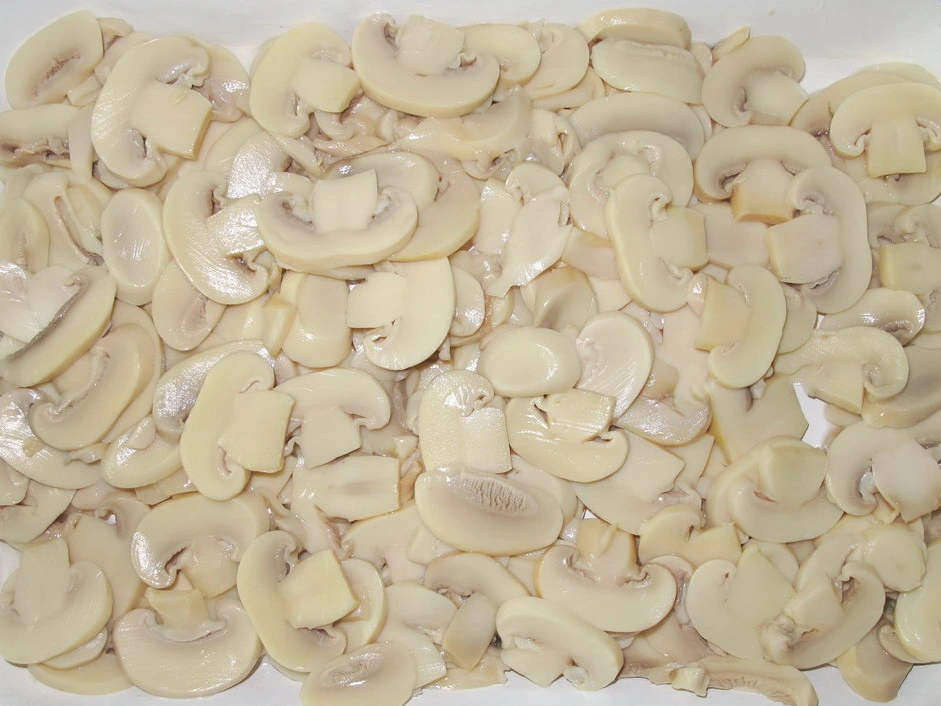 Canned Food Fresh Canned Slice Mushroom in Grade a 425g