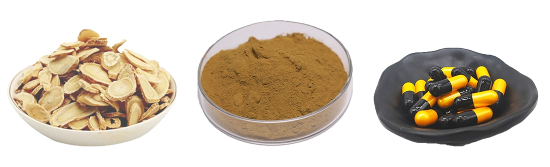 Healthy Care Astragali Root Extract Cycloastragenol Powder