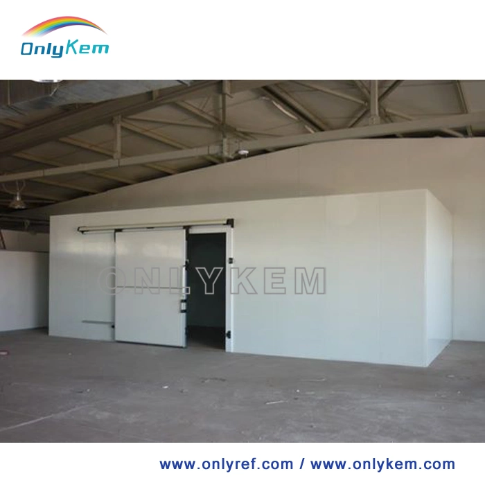 Walk in Freezer Cold Storage Cold Room Use Polyurethane Sandwich Panel with Refrigeration Equipment Condensing Unit Cooler