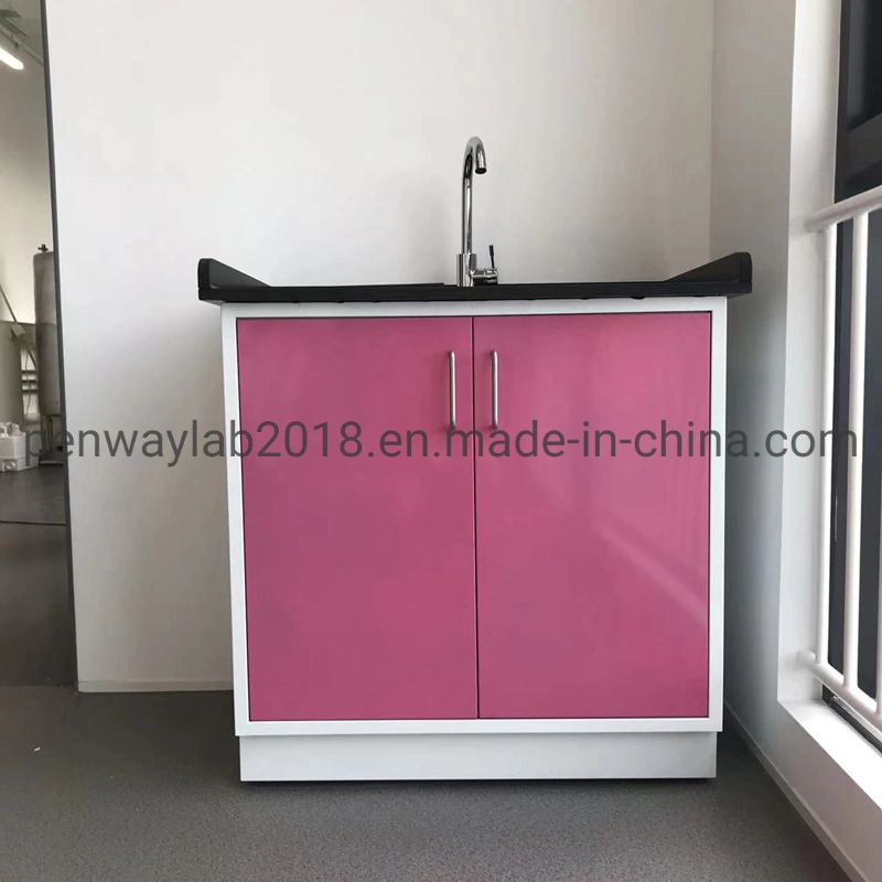 All Steel Painted Chemical Resistant Work Station Cabinets Lab Table