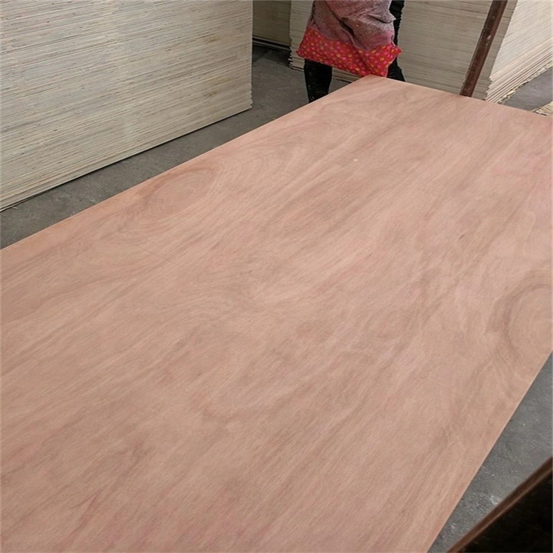 Plywood with Okoume/Bintangor Face Venner for Packing