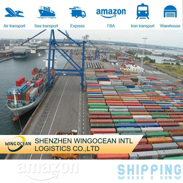 Reliable International Cheapest and Fastest Sea Shipping Provider From Shenzhen to United Arab Emirates DDU DDP Logistics Service