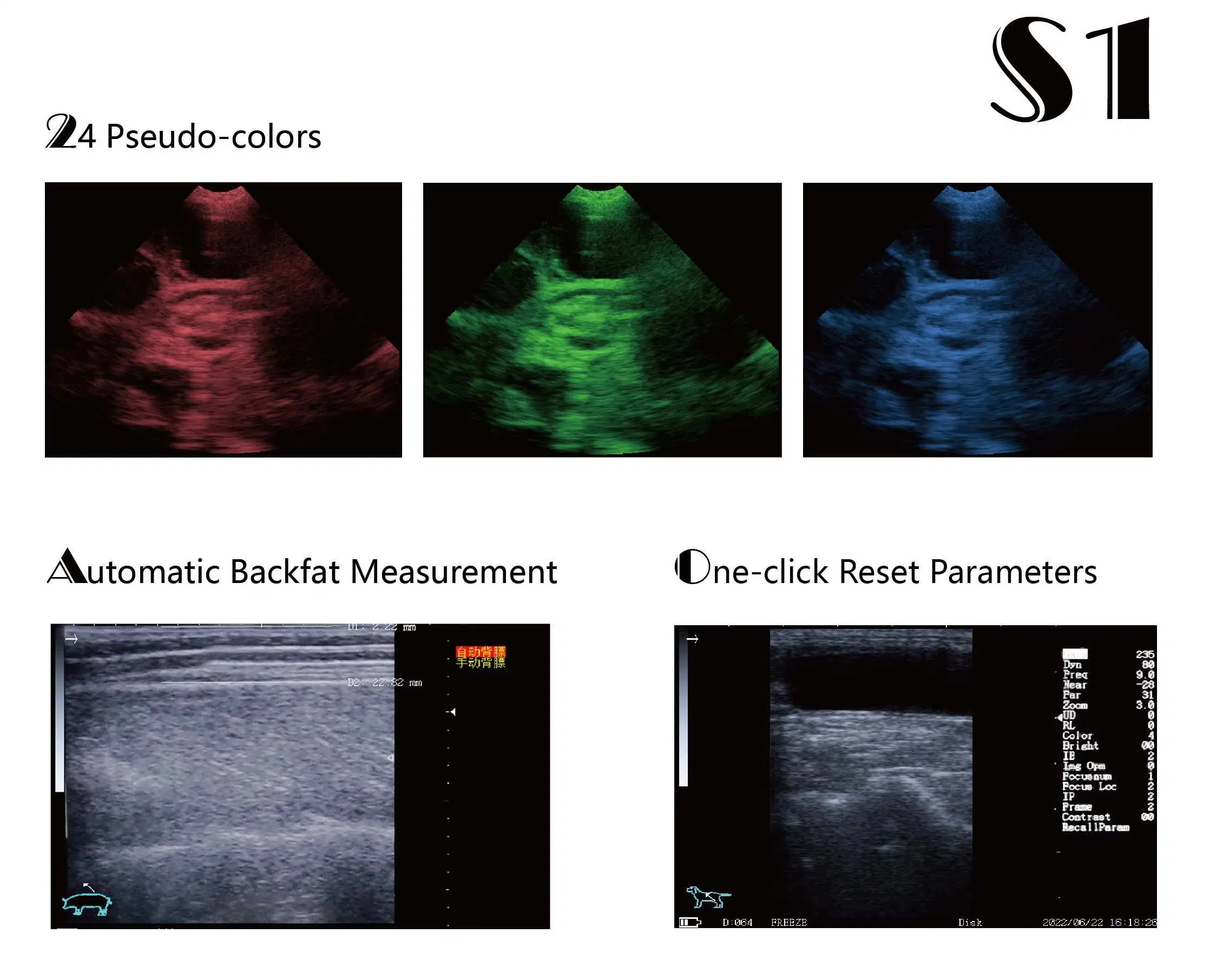 Tragbares digitales Ultraschall-System für Veterinärmedizin mit S/W-Schallkopf 5,6 Zoll LED-Mdeidcal-Anzeige