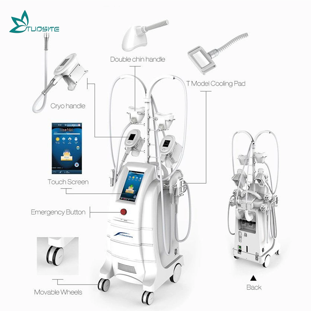 Fat Freeze Cryolipolysis Slimming Cooling Machine for Aesthetic Center