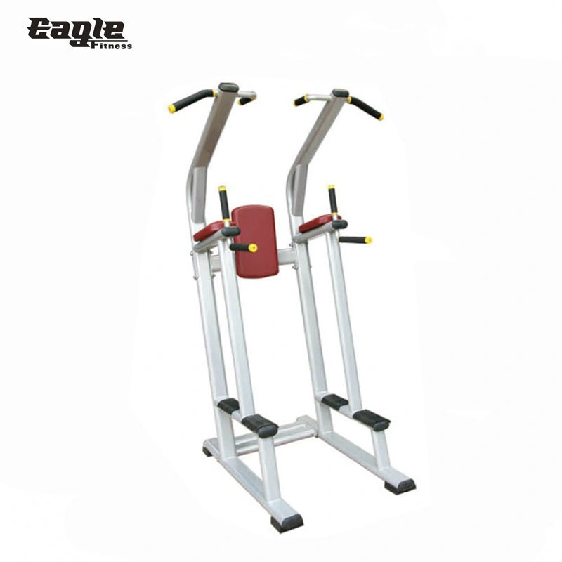 Máquina de ejercicios de fuerza Equipos de fitness Life Fitness Gimnasio ajustable de Banco de silla romana