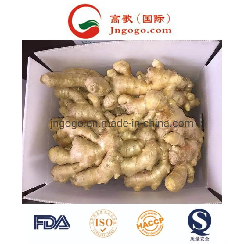 Air-Dried Ginger (100g; 150g; 200g; 250g; 300g; 350g)