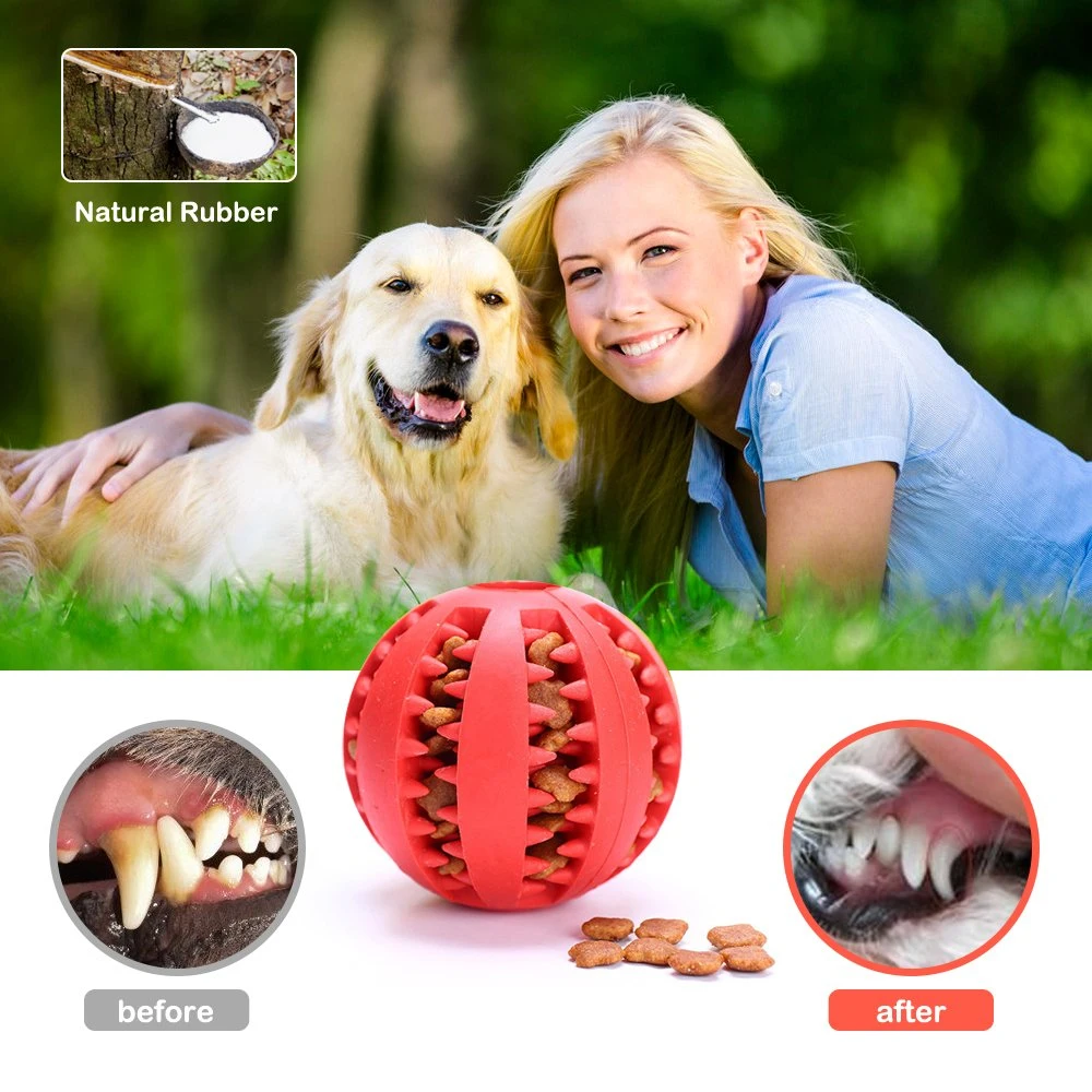 2021 Bolas de perros nuevos Juguetes interactivos Chew de mascotas Limpieza de dientes Elasticidad bola de caucho