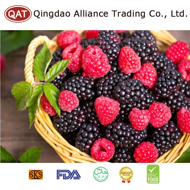 New Crop Kosher IQF Deep Frozen Fruits Mixed Berries in Packaging Bag Price