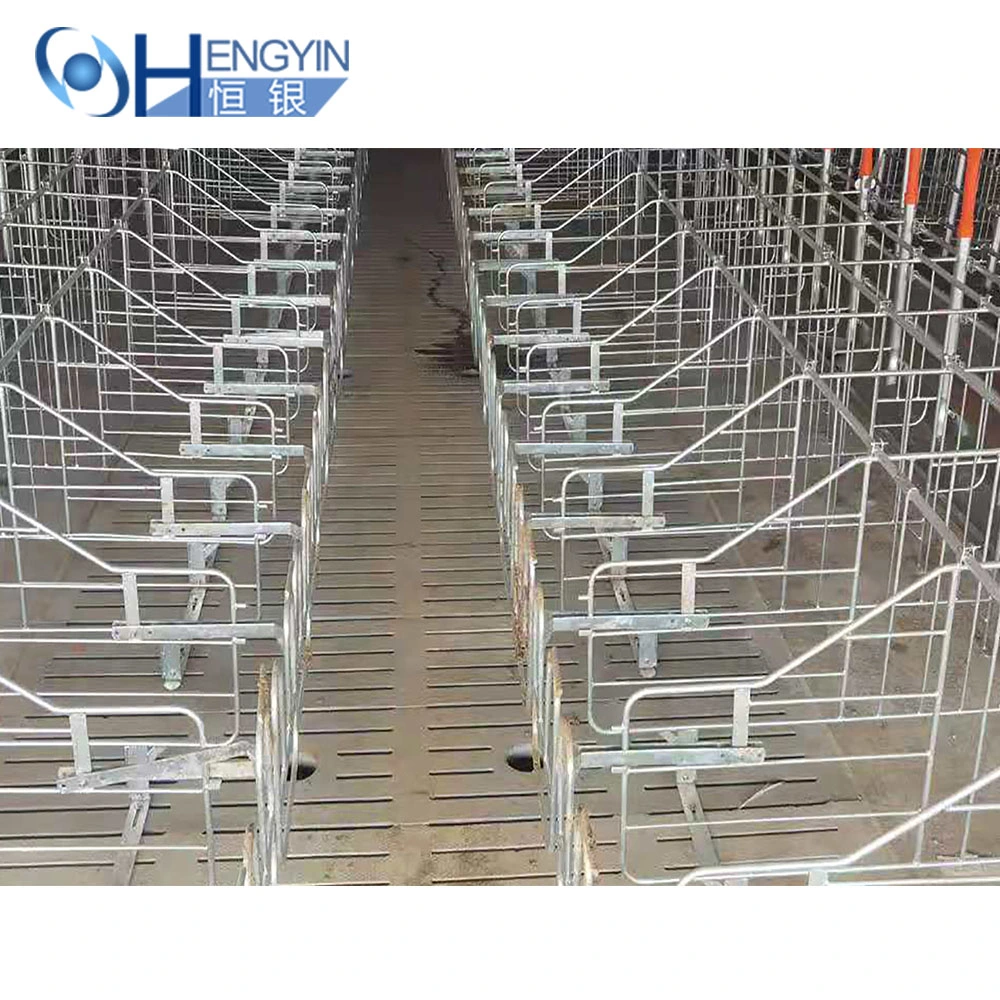 Pig Farming Equipment Pig Gestation Pen/Cage/Crates