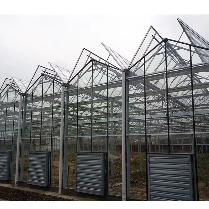 Seedbed Film/Glass/PC Sheet Cover with Hydroponic Pipe Irrigation System